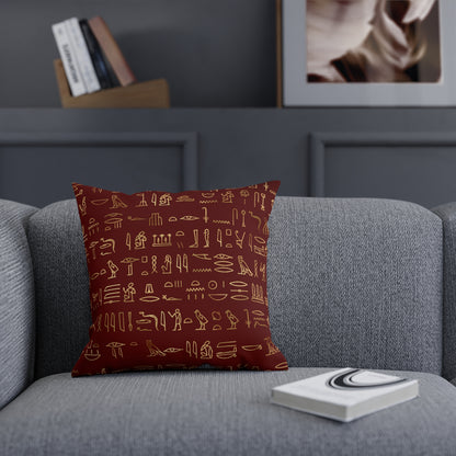 Egyptian Hieroglyphics Throw Pillow
